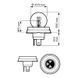 Лампа розжарювання R2 12V 45/40W P45t-41 STANDARD 1шт blister (вир-во Philips) 12620B1 фото 1