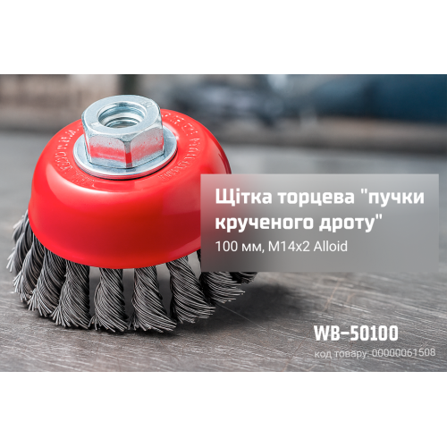 Alloid. Щетка торцевая "пучки витой проволоки" 100мм, М14х2 WB-50100 фото товара