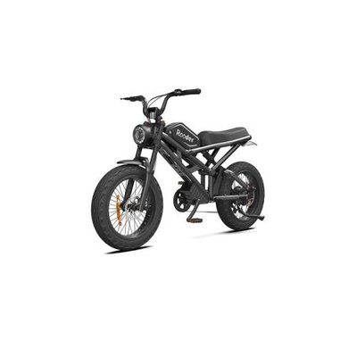 Електровелосипед Rooder 1000W, 48V25Ah, Black (4825Bk) 4825Bk фото