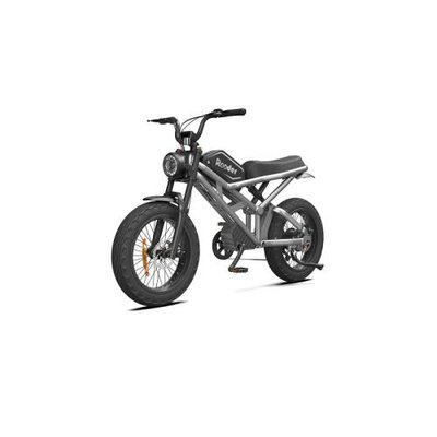 Електровелосипед Rooder 1000W, 48V25Ah, Silver (4825Sl) 4825Sl фото