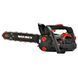 Бензопила ланцюгова Vitals Master BKZ 2512s Black Edition 180694 фото 1
