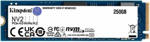 Накопичувач SSD 250GB M.2 NVMe Kingston NV2 M.2 2280 PCIe Gen4.0 x4 (SNV2S/250G) SNV2S/250G фото